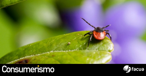 Zoonosis, virus y ecología